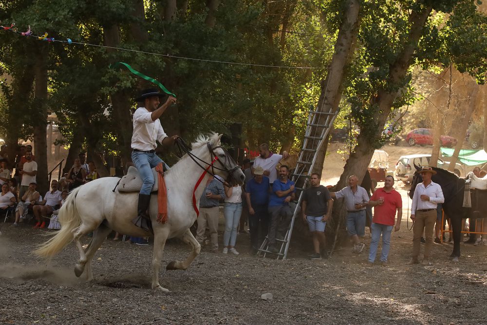 Romería del Vino en Alhama de Granada